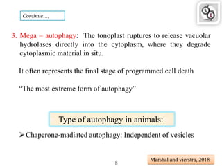 3. Mega – autophagy: The tonoplast ruptures to release vacuolar
hydrolases directly into the cytoplasm, where they degrade
cytoplasmic material in situ.
It often represents the final stage of programmed cell death
“The most extreme form of autophagy”
Type of autophagy in animals:
Chaperone-madiated autophagy: Independent of vesicles
Marshal and vierstra, 2018
Continue…,
8
 