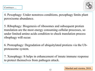 Continues…,
4. Pexophagy: Under nonstress conditions, pexophagy limits plant
peroxisome abundance.
5. Ribophagy: Biogenesis of ribosomes and subsequent protien
translation are the most energy consuming cellular processes, so
under limited amino acids condition to check translation process
ribophagy will occur.
6. Proteaphagy: Degradation of ubiquitylated protiens via the Ub-
proteasome system.
7. Xenophagy: It helps in enhancement of innate immune response
to protect themselves from pathogen attack.
Marshal and vierstra, 2018
12
 