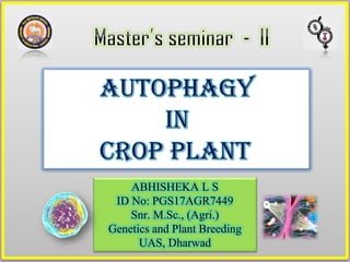 AUTOPHAGY
IN
CROP PLANT
ABHISHEKA L S
ID No: PGS17AGR7449
Snr. M.Sc., (Agri.)
Genetics and Plant Breeding
UAS, Dharwad
 