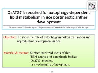 Objective: To show the role of autophagy in pollen maturation and
reproductive development in rice.
Material & method: Surface sterilized seeds of rice,
TEM analysis of autophagic bodies,
OsATG- mutants,
in vivo imaging of autophagy.
26
 
