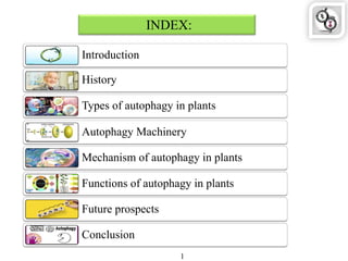 INDEX:
1
Introduction
Types of autophagy in plants
History
Autophagy Machinery
Mechanism of autophagy in plants
Functions of autophagy in plants
Future prospects
Conclusion
 