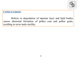 :
Defects in degradation of tapetum layer and lipid bodies
causes abnormal formation of pollen coat and pollen grain,
resulting in sever male sterility.
31
 