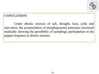 :
Under abiotic stresses of salt, drought, heat, cold, and
starvation, the accumulation of autophagosome punctates increased
markedly showing the possibility of autophagy participation in the
pepper response to abiotic stresses.
39
 