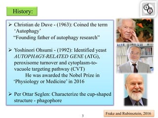 History:
 Christian de Duve - (1963): Coined the term
„Autophagy‟
“Founding father of autophagy research”
 Yoshinori Ohsumi - (1992): Identified yeast
AUTOPHAGY-RELATED GENE (ATG),
peroxisome turnover and cytoplasm-to-
vacuole targeting pathway (CVT)
He was awarded the Nobel Prize in
„Physiology or Medicine‟ in 2016
 Per Ottar Seglen: Characterize the cup-shaped
structure - phagophore
Frake and Rubinsztein, 2016
3
 