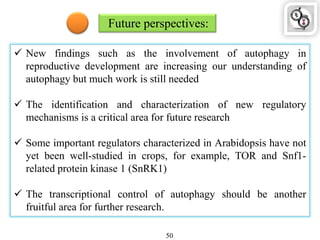 Future perspectives:
 New findings such as the involvement of autophagy in
reproductive development are increasing our understanding of
autophagy but much work is still needed
 The identification and characterization of new regulatory
mechanisms is a critical area for future research
 Some important regulators characterized in Arabidopsis have not
yet been well-studied in crops, for example, TOR and Snf1-
related protein kinase 1 (SnRK1)
 The transcriptional control of autophagy should be another
fruitful area for further research.
50
 