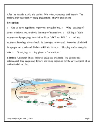 JNV/CWA/PCB/BIOLOGY/2017 Page 17
After the malaria attack, the patient feels weak, exhausted and anemic. The
malaria may secondarily cause engagement of lever and spleen.
Prevention:
v Use of insect repellants to prevent mosquito bite. v Wire- gauzing of
doors, windows, etc. to check the entry of mosquitoes. v Killing of adult
mosquitoes by spraying insecticides likes D.D.T and B.H.C. v All the
mosquito breeding places should be destroyed or covered. Kerosene oil should
be sprayed on ponds and ditches to kill the larva. v Sleeping under mosquito
nets. v Destroying breeding places of mosquitoes.
Control: A number of anti-malarial drugs are available. The commonest
antimalarial drug is quinine. Efforts are being medicine for the development of an
anti-malarial vaccine.
 