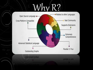 Why R?
 