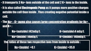 • It transports 3 Na+ ions outside of the cell and 2 K+ ions to the inside.
• It is also called Electrogenic Pump as it pumps more positive charges
outside the cell than inside . Thus creating negative potential inside a
cell.
• The Na+ - K+ pump also causes large concentration gradients for Na+
and K+ :
Na+(outside):142mEq/L K+(outside):4 mEq/L
Na+(inside) :14mEq/L K+(inside): 140mEq/L
The ratios of these two respective ions from inside to outside :
Na+(inside) =0.1 K+(inside) =35.0
 