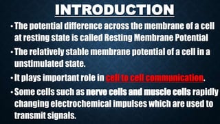 INTRODUCTION
•The potential difference across the membrane of a cell
at resting state is called Resting Membrane Potential
•The relatively stable membrane potential of a cell in a
unstimulated state.
•It plays important role in cell to cell communication.
•Some cells such as nerve cells and muscle cells rapidly
changing electrochemical impulses which are used to
transmit signals.
 