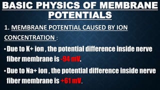BASIC PHYSICS OF MEMBRANE
POTENTIALS
1. MEMBRANE POTENTIAL CAUSED BY ION
CONCENTRATION :
•Due to K+ ion , the potential difference inside nerve
fiber membrane is -94 mV.
•Due to Na+ ion , the potential difference inside nerve
fiber membrane is +61 mV.
 