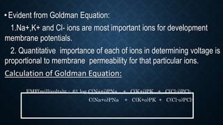 •Evident from Goldman Equation:
1.Na+,K+ and Cl- ions are most important ions for development
membrane potentials.
2. Quantitative importance of each of ions in determining voltage is
proportional to membrane permeability for that particular ions.
Calculation of Goldman Equation:
EMF(millivolts)= - 61 log C(Na+i)PNa + C(K+i)PK + C(Cl-i)PCl-
C(Na+o)PNa + C(K+o)PK + C(Cl-o)PCl-
 