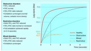 Comprehensive Overview of Pulmonary Function Testing and Spirometry ...
