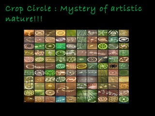 Crop Circle : Mystery of artistic
nature!!!
 