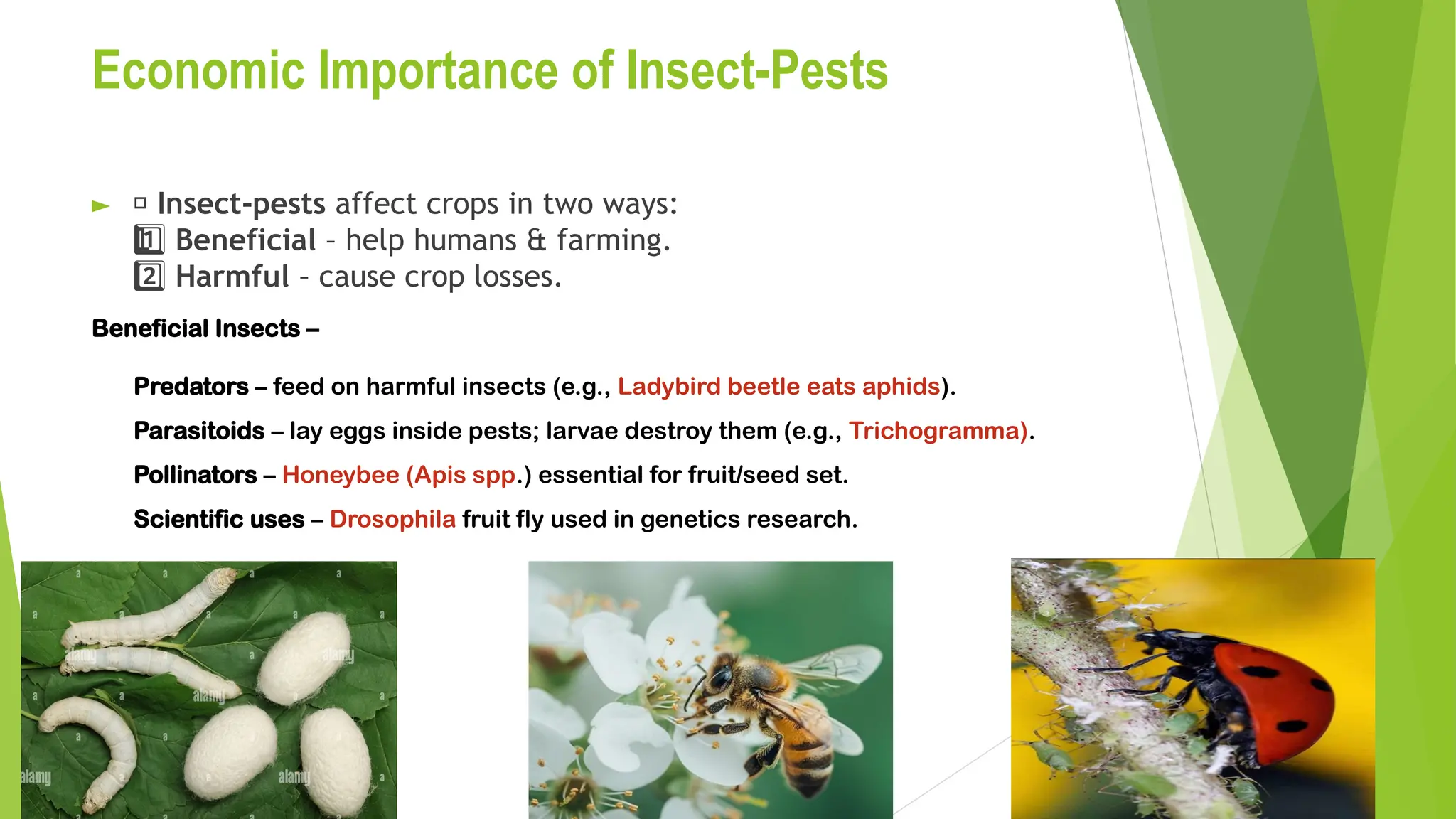 integrated pest and disease management PPT.X.pptx