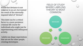 Persistent Label Understanding Labeling Theory: Social Behavior and Deviance Explained ...