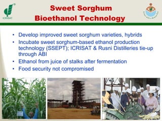 Sweet Sorghum Bioethanol Technology  Develop improved sweet sorghum varieties, hybrids  Incubate sweet sorghum-based ethanol production technology (SSEPT); ICRISAT & Rusni Distilleries tie-up through ABI Ethanol from juice of stalks after fermentation Food security not compromised 