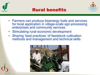 Rural benefits  Farmers can produce bioenergy fuels and services for local application in village-scale agri-processing enterprises and community services Stimulating rural economic development Sharing ‘best practices’ of feedstock cultivation methods and management and technical skills 