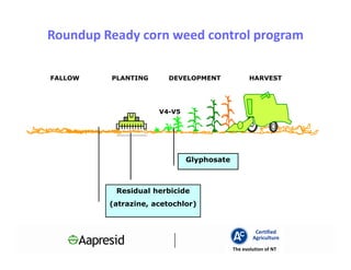 Roundup Ready corn weed control program

FALLOW   PLANTING      DEVELOPMENT               HARVEST




                     V4-V5




                             Glyphosate



          Residual herbicide
         (atrazine, acetochlor)


                                                   Certified
                                                  Agriculture
                                          The evolution of NT
 