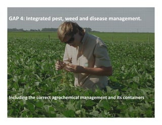 GAP 4: Integrated pest, weed and disease management.




Including the correct agrochemical management and its containers
 