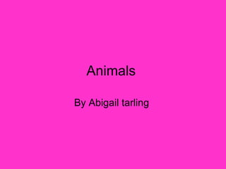 Animals  By Abigail tarling  