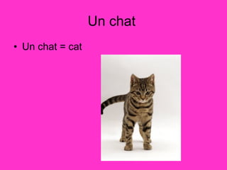Un chat  Un chat = cat  