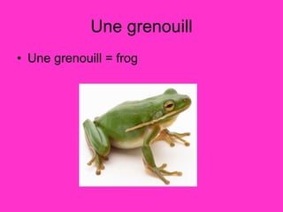 Une grenouill Une grenouill = frog  