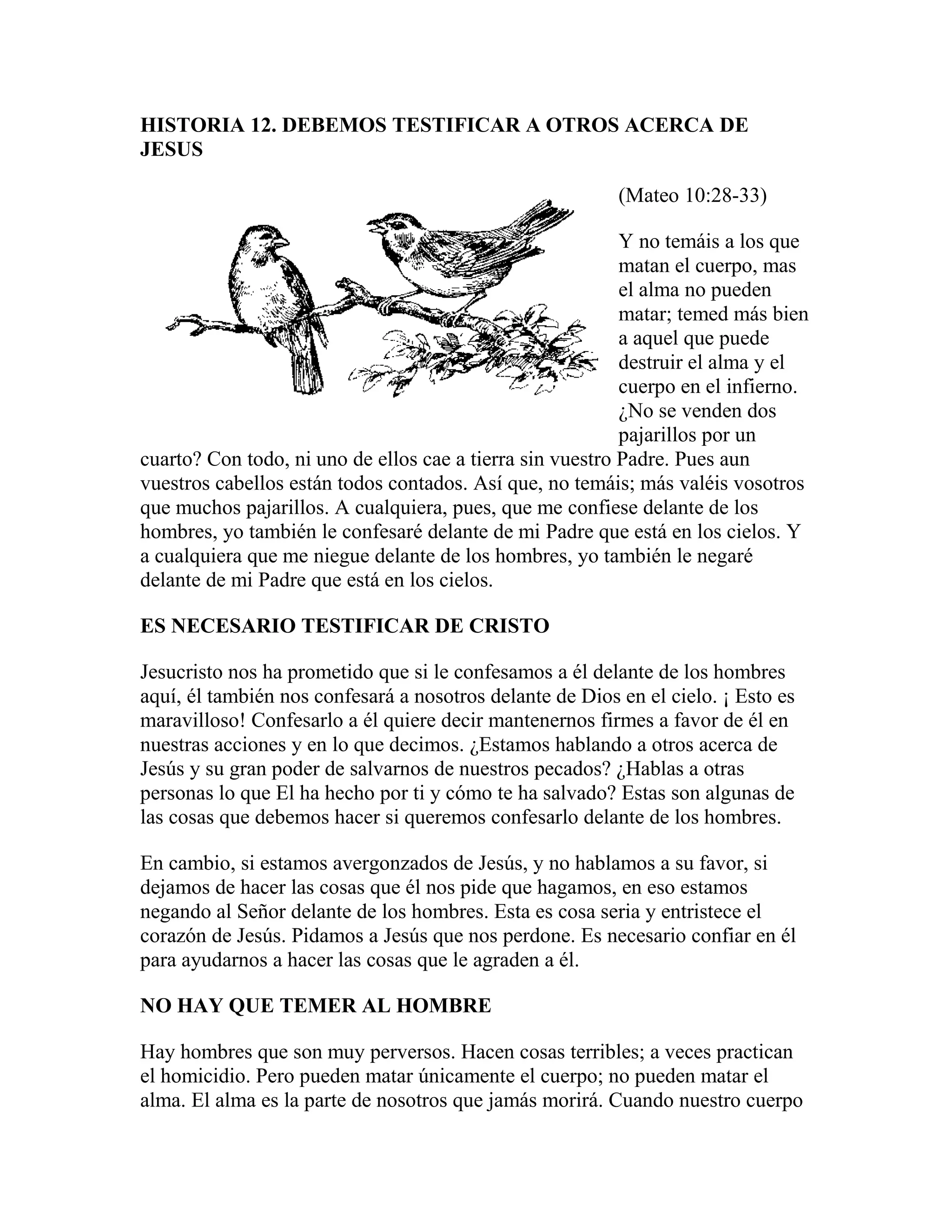 A bible study on matthew spanish