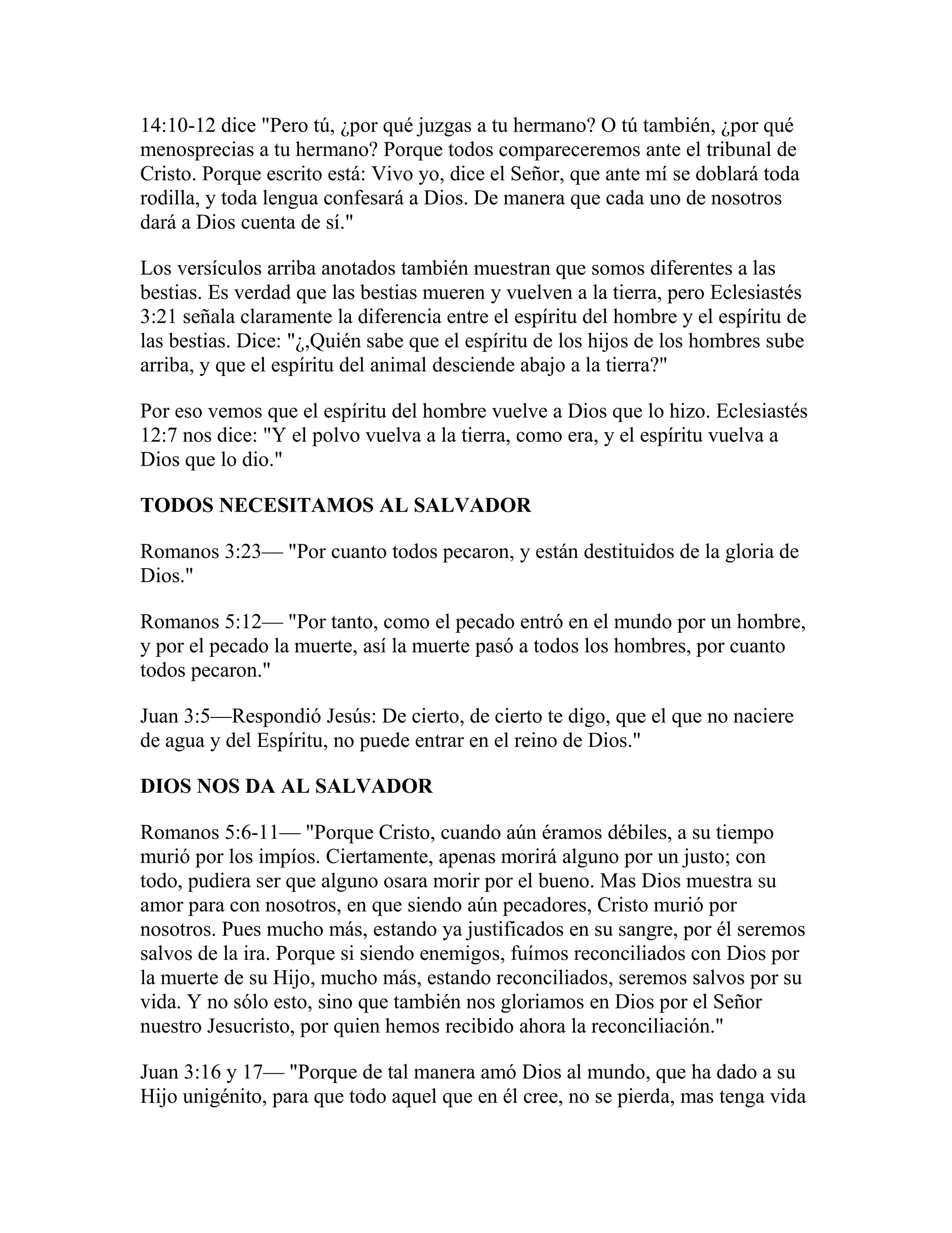 A bible study on matthew spanish