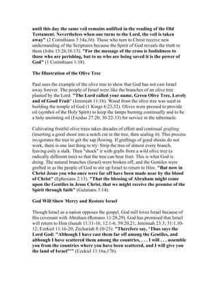 until this day the same veil remains unlifted in the reading of the Old
Testament. Nevertheless when one turns to the Lord, the veil is taken
away" (2 Corinthians 3:14a,16). Those who turn to Christ receive new
understanding of the Scriptures because the Spirit of God reveals the truth to
them (John 15:26;16:13). "For the message of the cross is foolishness to
those who are perishing, but to us who are being saved it is the power of
God" (1 Corinthians 1:18).
The Illustration of the Olive Tree
Paul uses the example of the olive tree to show that God has not cast Israel
away forever. The people of Israel were like the branches of an olive tree
planted by the Lord. "The Lord called your name, Green Olive Tree, Lovely
and of Good Fruit" (Jeremiah 11:16). Wood from the olive tree was used in
building the temple of God (1 Kings 6:23,32). Olives were pressed to provide
oil (symbol of the Holy Spirit) to keep the lamps burning continually and to be
a holy anointing oil (Exodus 27:20; 30:22-33) for service in the tabernacle.
Cultivating fruitful olive trees takes decades of effort and continual grafting
(inserting a good shoot into a notch cut in the tree, then sealing it). This process
invigorates the tree to get the sap flowing. If graftings of good shoots do not
work, there is one last thing to try: Strip the tree of almost every branch,
leaving only a stalk. Then "shock" it with grafts from a wild olive tree (a
radically different tree) so that the tree can bear fruit. This is what God is
doing. The natural branches (Israel) were broken off, and the Gentiles were
grafted in as the people of God to stir up Israel to return to Him. "But now in
Christ Jesus you who once were far off have been made near by the blood
of Christ" (Ephesians 2:13). "That the blessing of Abraham might come
upon the Gentiles in Jesus Christ, that we might receive the promise of the
Spirit through faith" (Galatians 3:14).
God Will Show Mercy and Restore Israel
Though Israel as a nation opposes the gospel, God still loves Israel because of
His covenant with Abraham (Romans 11:28,29). God has promised that Israel
will return to Him (Isaiah 11:11-16; 12:1-6; 59:20,21; Jeremiah 23:3; 31:1,10-
12; Ezekiel 11:16-20; Zechariah 8:10-23). "Therefore say, ‘Thus says the
Lord God: "Although I have cast them far off among the Gentiles, and
although I have scattered them among the countries, . . . I will . . . assemble
you from the countries where you have been scattered, and I will give you
the land of Israel"'" (Ezekiel 11:16a,17b).
 