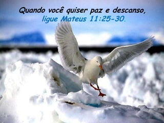 Quando você quiser paz e descanso,
     ligue Mateus 11:25-30.
 