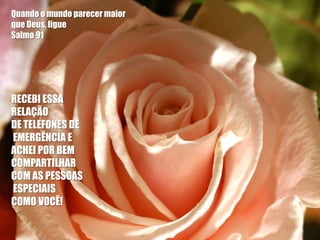 Quando o mundo parecer maior
que Deus, ligue
Salmo 91




RECEBI ESSA
RELAÇÃO
DE TELEFONES DE
EMERGÊNCIA E
ACHEI POR BEM
COMPARTILHAR
COM AS PESSOAS
ESPECIAIS
COMO VOCÊ!
 
