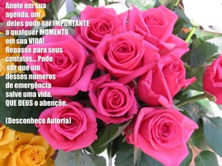 Anote em sua
agenda, um
deles pode ser IMPORTANTE
a qualquer MOMENTO
em sua VIDA!
Repasse para seus
contatos... Pode
ser que um
desses números
de emergência
salve uma vida.
QUE DEUS o abençõe.

(Desconheço Autoria)
 