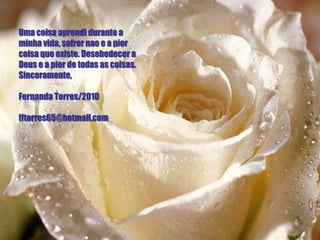 Uma coisa aprendi durante a
minha vida, sofrer nao e a pior
coisa que existe. Desobedecer a
Deus e a pior de todas as coisas.
Sinceramente,

Fernanda Torres/2010

fftorres65@hotmail.com
 