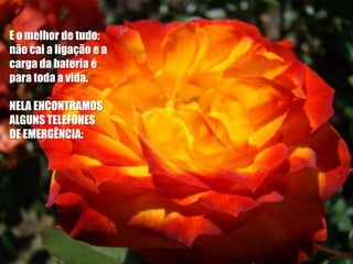E o melhor de tudo:
não cai a ligação e a
carga da bateria é
para toda a vida.

NELA ENCONTRAMOS
ALGUNS TELEFONES
DE EMERGÊNCIA:
 