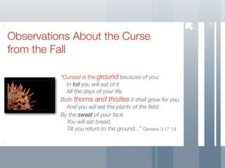 18
Observations About the Curse
from the Fall

          “Cursed is the ground because of you;
          	 In toil you will eat of it
          	 All the days of your life.
          Both thorns and thistles it shall grow for you;
          	 And you will eat the plants of the ﬁeld;
          By the sweat of your face
          	 You will eat bread,
          
 Till you return to the ground...” Genesis 3:17-19
 