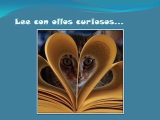 Lee con ollos curiosos…