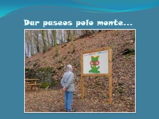 Dar paseos polo monte…