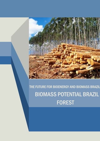 THE FUTURE FOR BIOENERGY AND BIOMASS BRAZIL

   BIOMASS POTENTIAL BRAZIL
          FOREST
 