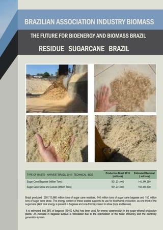 The Future Biomass and Bioenergy Brazil -