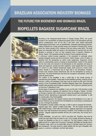 The Future Biomass and Bioenergy Brazil -