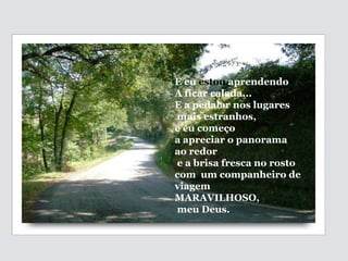 E eu  estou  aprendendo A ficar calada...  E a pedalar nos lugares mais estranhos,  e eu começo a apreciar o panorama ao redor e a brisa fresca no rosto com  um companheiro de viagem  MARAVILHOSO, meu Deus. 