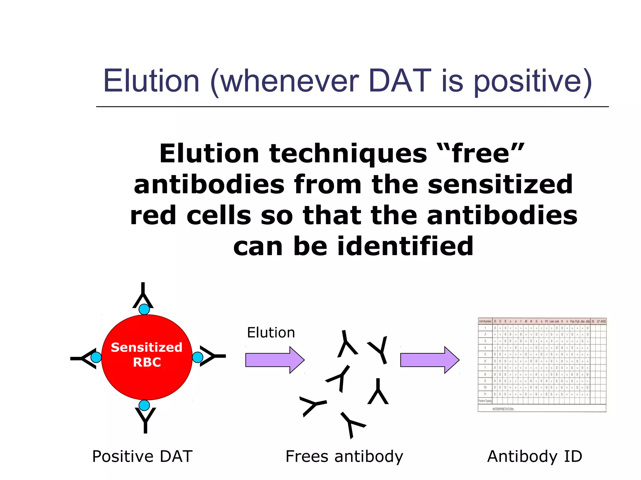 Elution (whenever DAT is positive)
Elution techniques “free”
antibodies from the sensitized
red cells so that the antibodies
can be identified
Y
Y
Y
Y
Sensitized
RBC
Positive DAT
Elution
Y
Y
Y
Y
Y
Y
Frees antibody Antibody ID
 