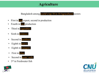 Agriculture
Bangladesh among world’s top 10 in 10 Agricultural sectors
• Third in vegetables
• Sixth in potatoes
• Second in jackfruit
• Eighth in mangoes
• Eighth in guava
• First in jute export, second in production
• Second in goats’ milk
• 3rd in Freshwater fish
• Fourth in rice production
• First in hilsa
 