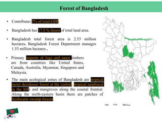 Forest of Bangladesh
• Contributes 2% of total GDP.
• Bangladesh has 17.5 % forest of total land area.
• Bangladesh total forest area is 2.53 million
hectares. Bangladesh Forest Department manages
1.53 million hectares .
• Primary imports of logs and sawn timbers
are from countries like United States,
Canada, Australia, Myanmar, Singapore and
Malaysia.
• The main ecological zones of Bangladesh are tropical
moist deciduous forest at the central, tropical rainforest
in the hills and mangroves along the coastal frontier.
Along the north-eastern basin there are patches of
freshwater swamp forests.
 