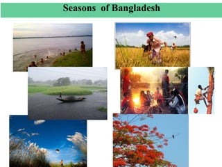 Seasons of Bangladesh
 