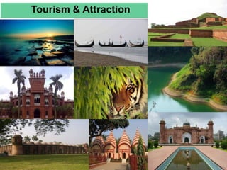 Tourism & Attraction
•
 