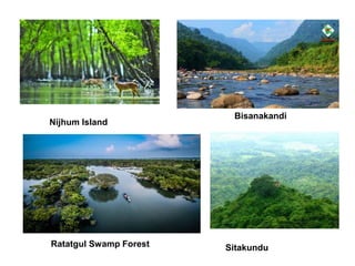 Bisanakandi
Ratatgul Swamp Forest Sitakundu
Nijhum Island
 