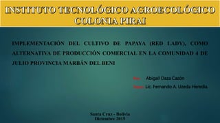 Santa Cruz - Bolivia
Diciembre 2015
Por: Abigail Daza Cazón
Tutor: Lic. Fernando A. Uzeda Heredia.
IMPLEMENTACIÓN DEL CULTIVO DE PAPAYA (RED LADY), COMO
ALTERNATIVA DE PRODUCCIÓN COMERCIAL EN LA COMUNIDAD 4 DE
JULIO PROVINCIA MARBÁN DEL BENI
 