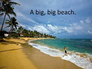 A big, big beach.
 