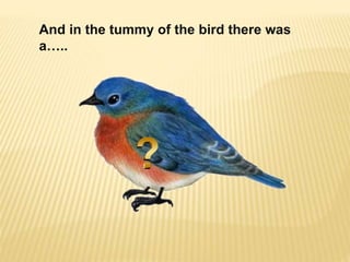 And in the tummy of the bird there was
a…..
 